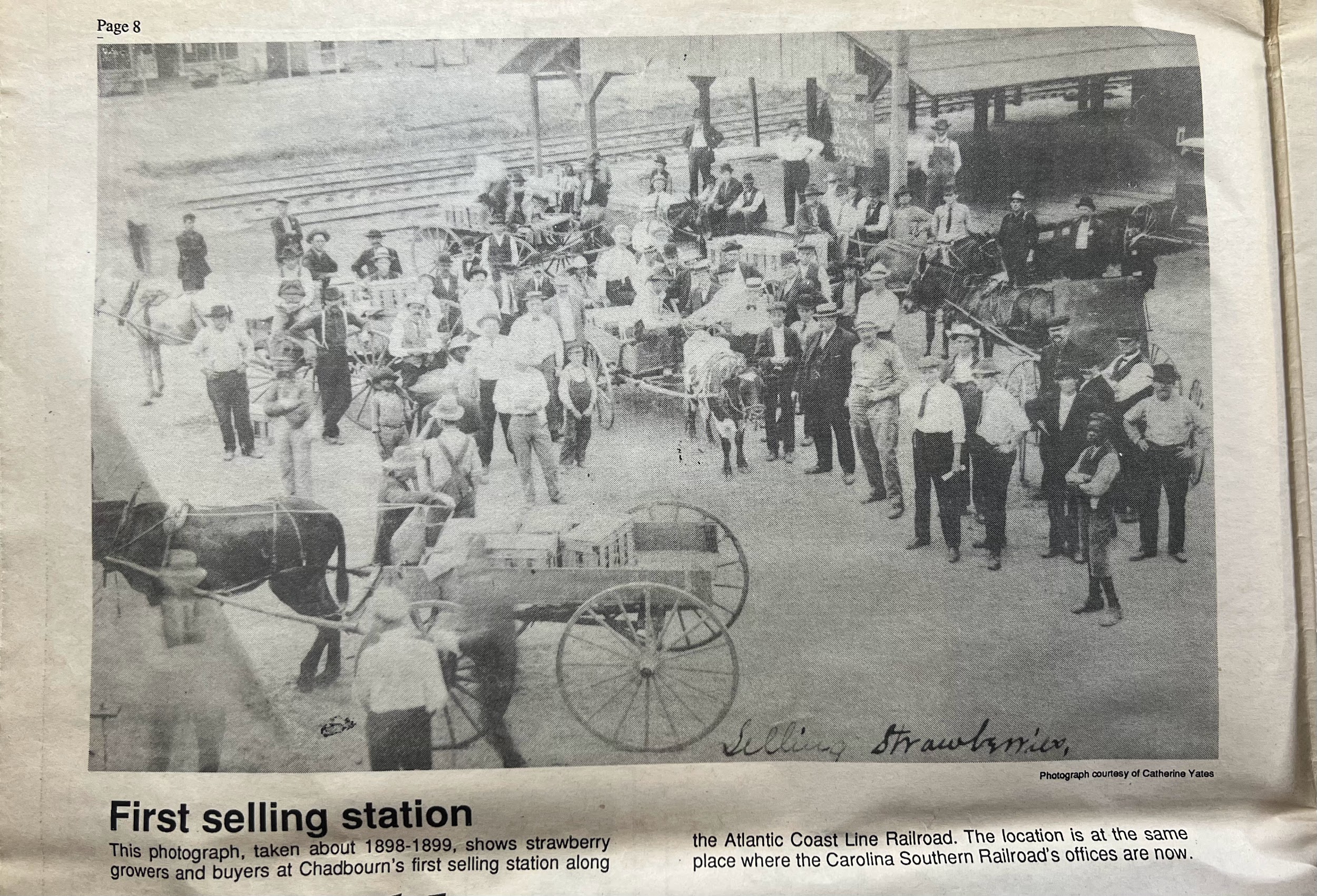 NC Strawberry Festival Memory