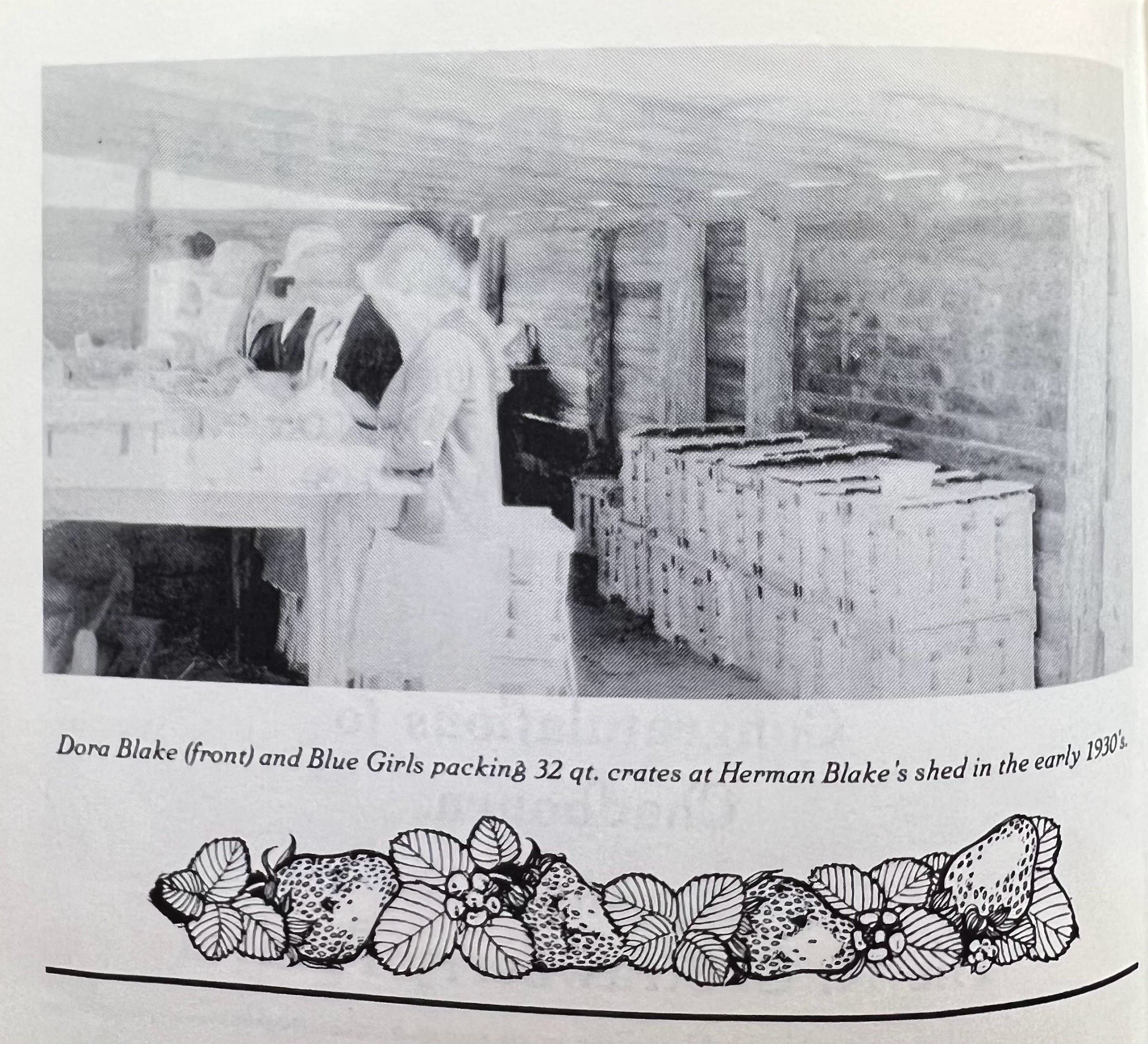 NC Strawberry Festival Memory