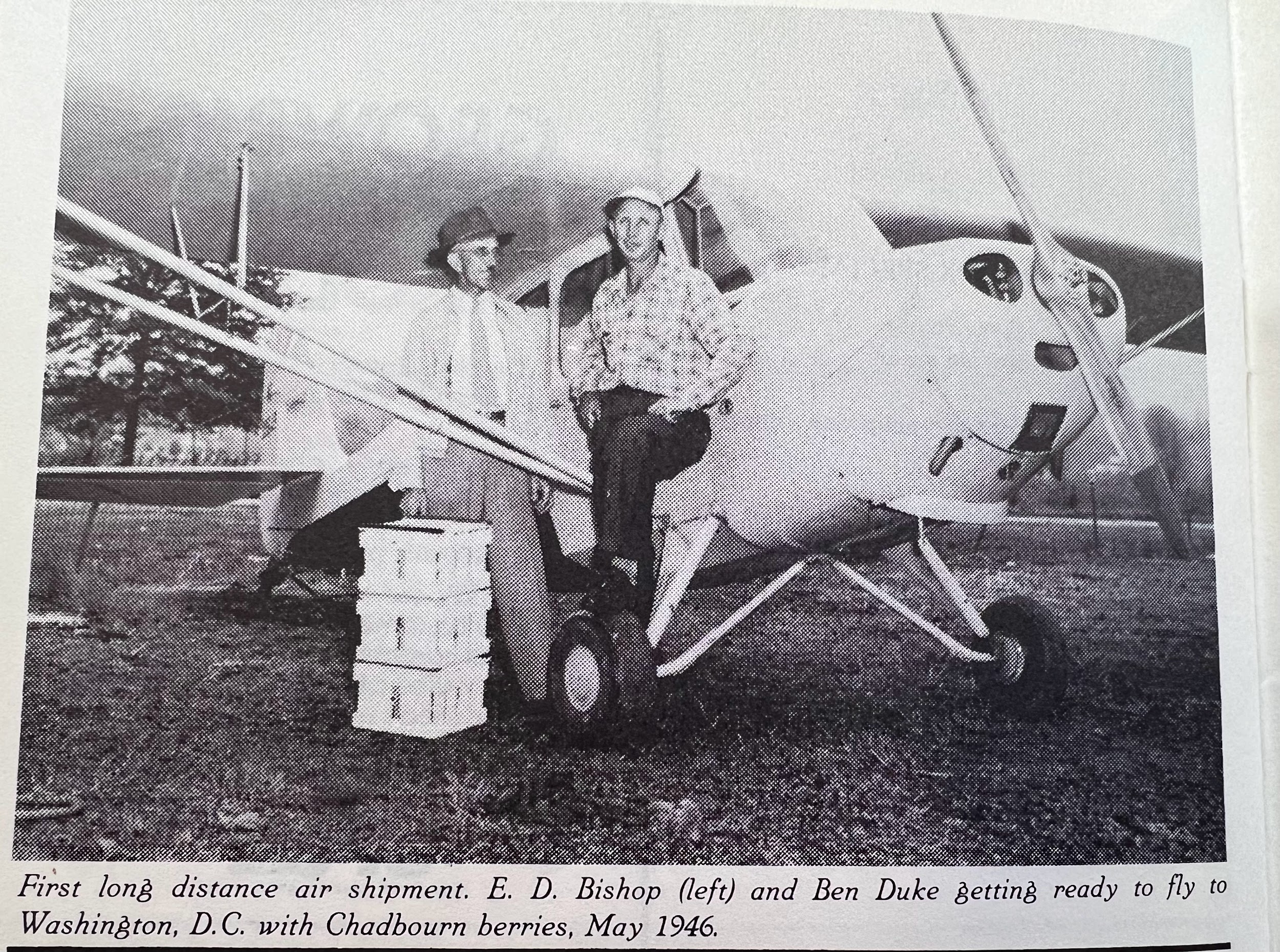 NC Strawberry Festival Memory