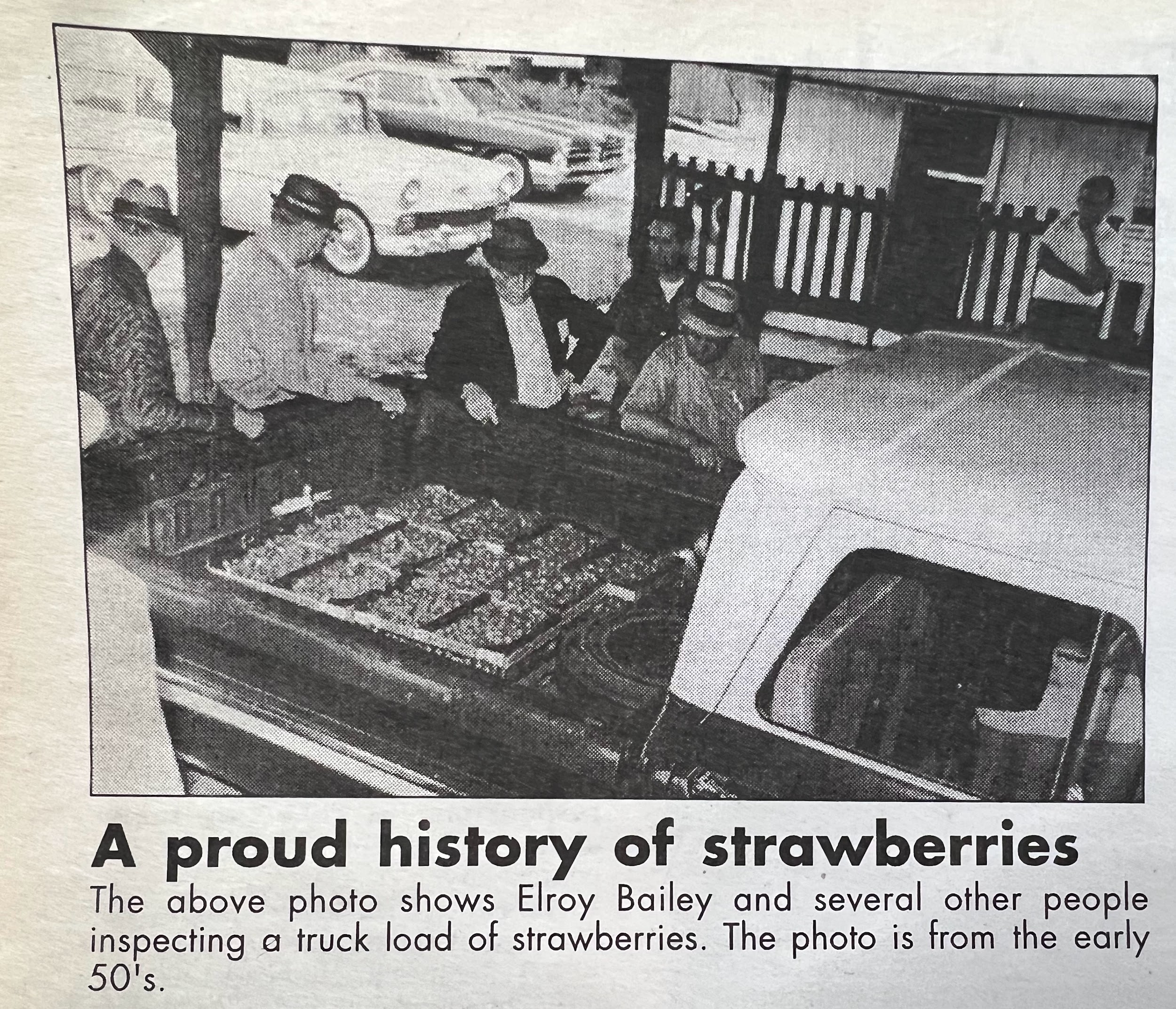 NC Strawberry Festival Memory