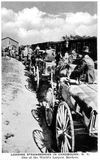 NC Strawberry Festival Memory