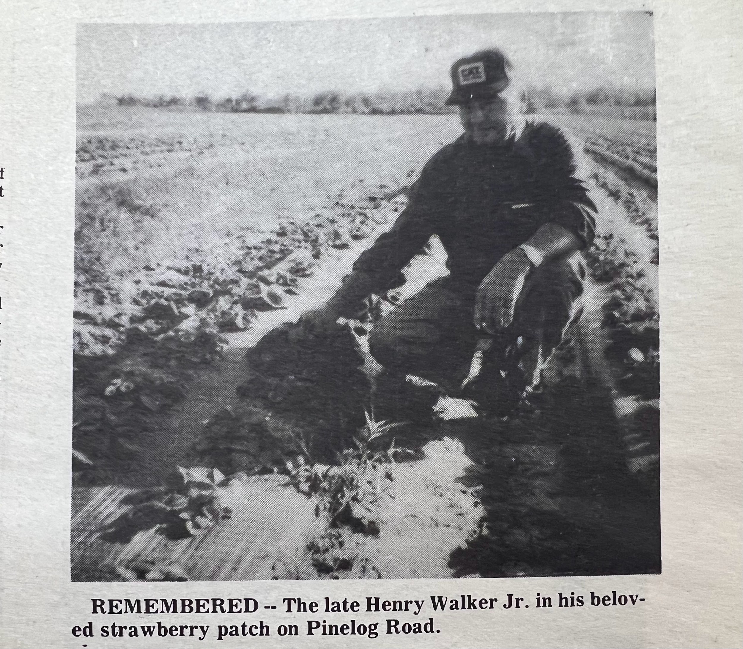 NC Strawberry Festival Memory