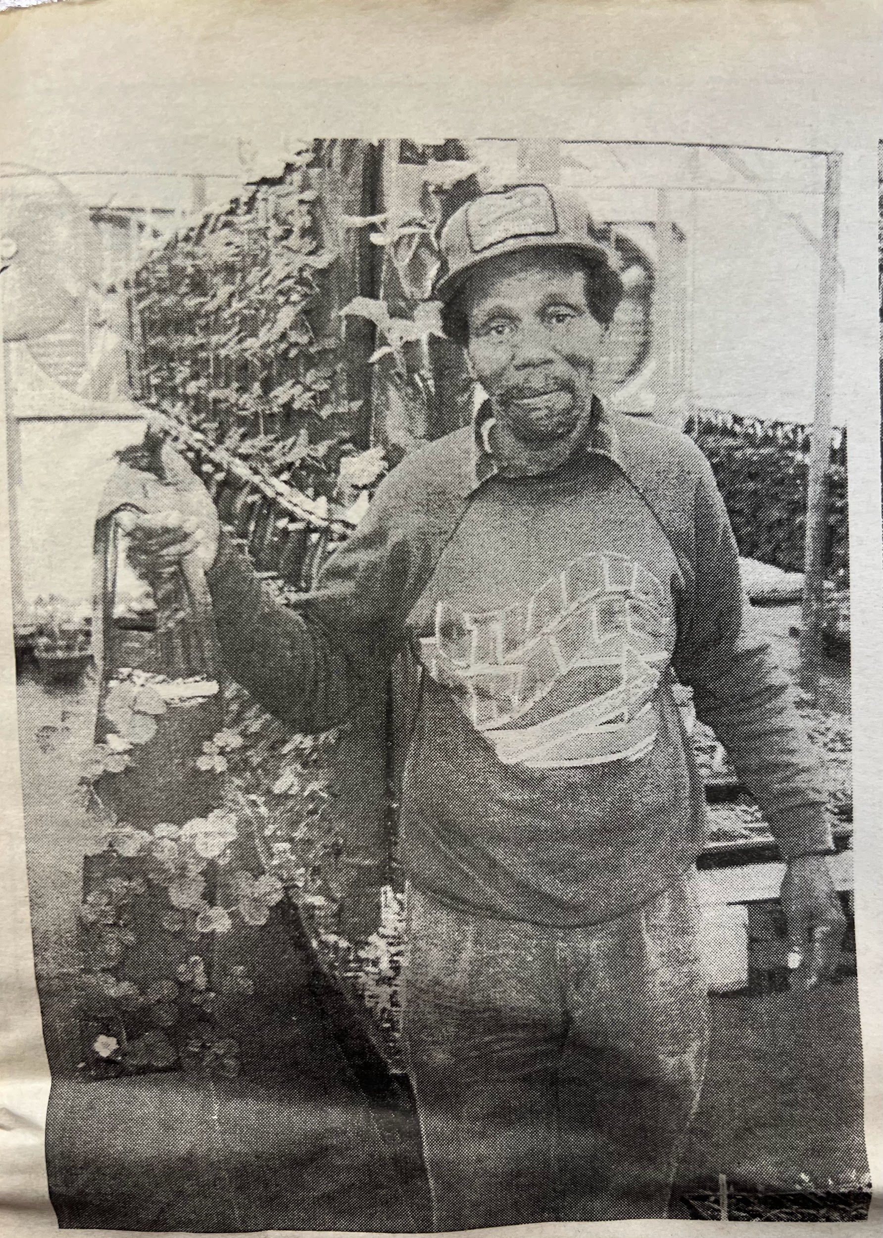 NC Strawberry Festival Memory