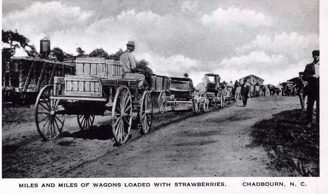 NC Strawberry Festival Memory