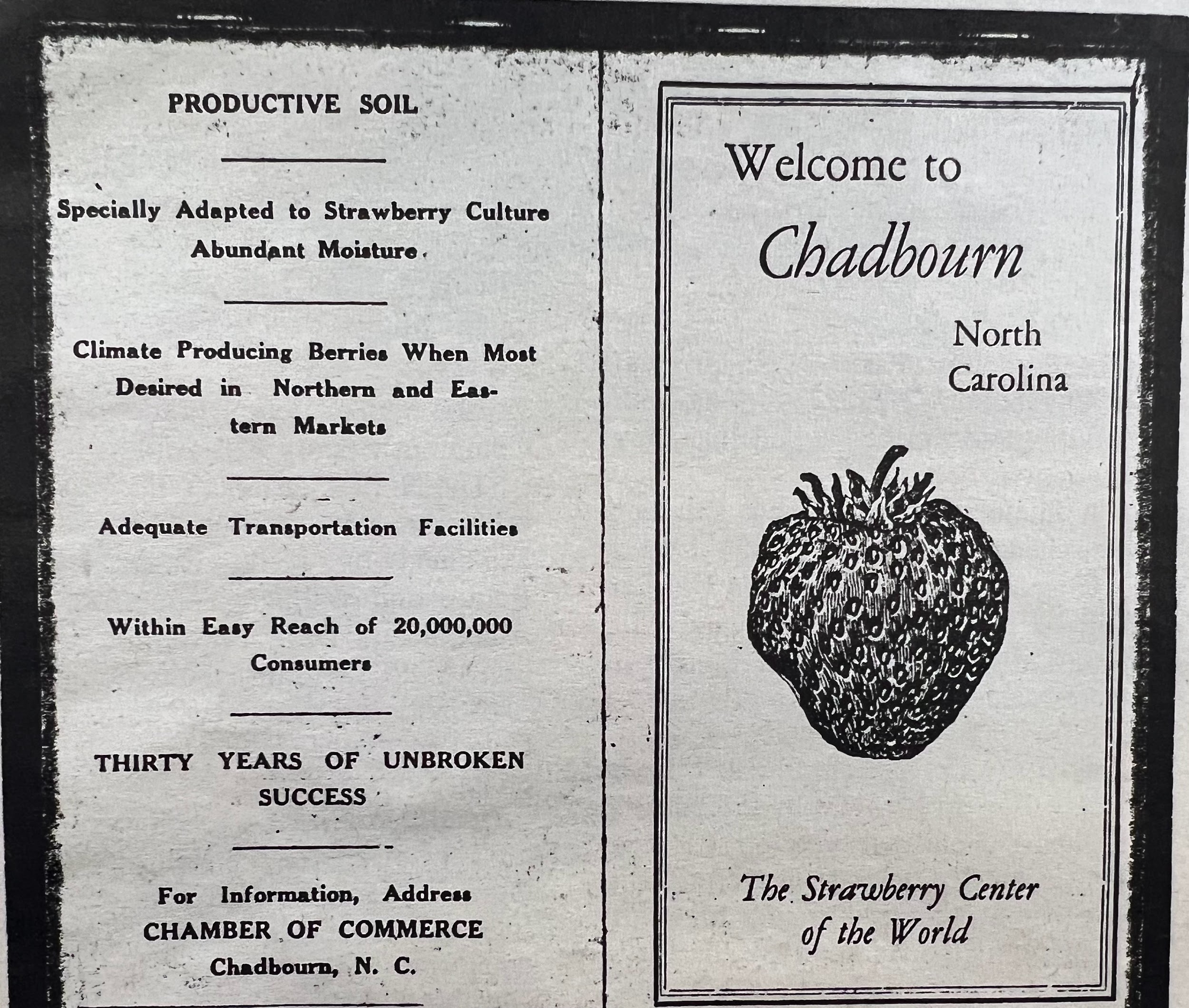 NC Strawberry Festival Memory